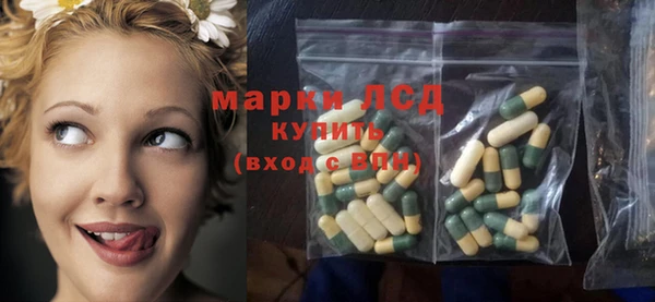 шишки Видное