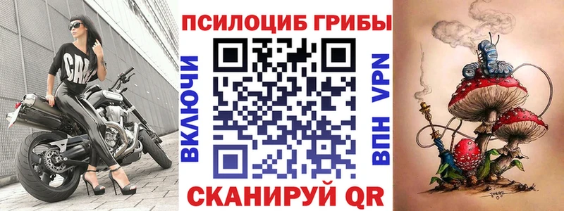 Псилоцибиновые грибы Psilocybine cubensis Кубинка
